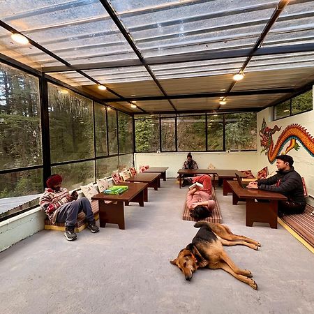 Eevolve Dharamkot - An Eco Hostel McLeod Ganj Luaran gambar